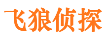 天桥市私人侦探